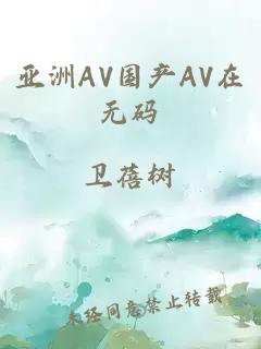 亚洲AV国产AV在无码